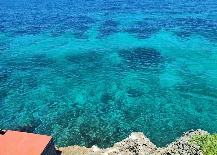Turtles Place -chay's San Francisco (Cebu)